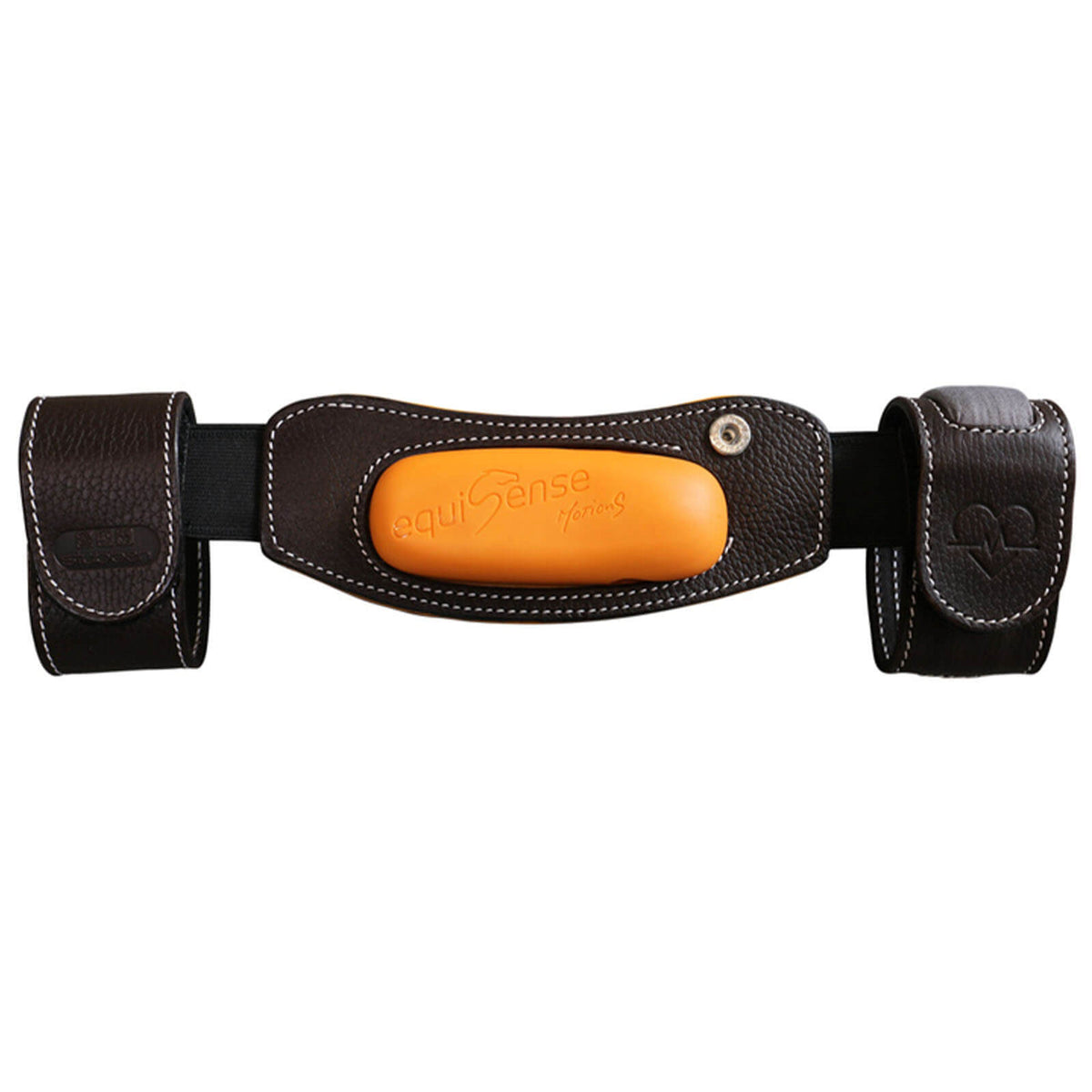 Halterung Equisense Motion S