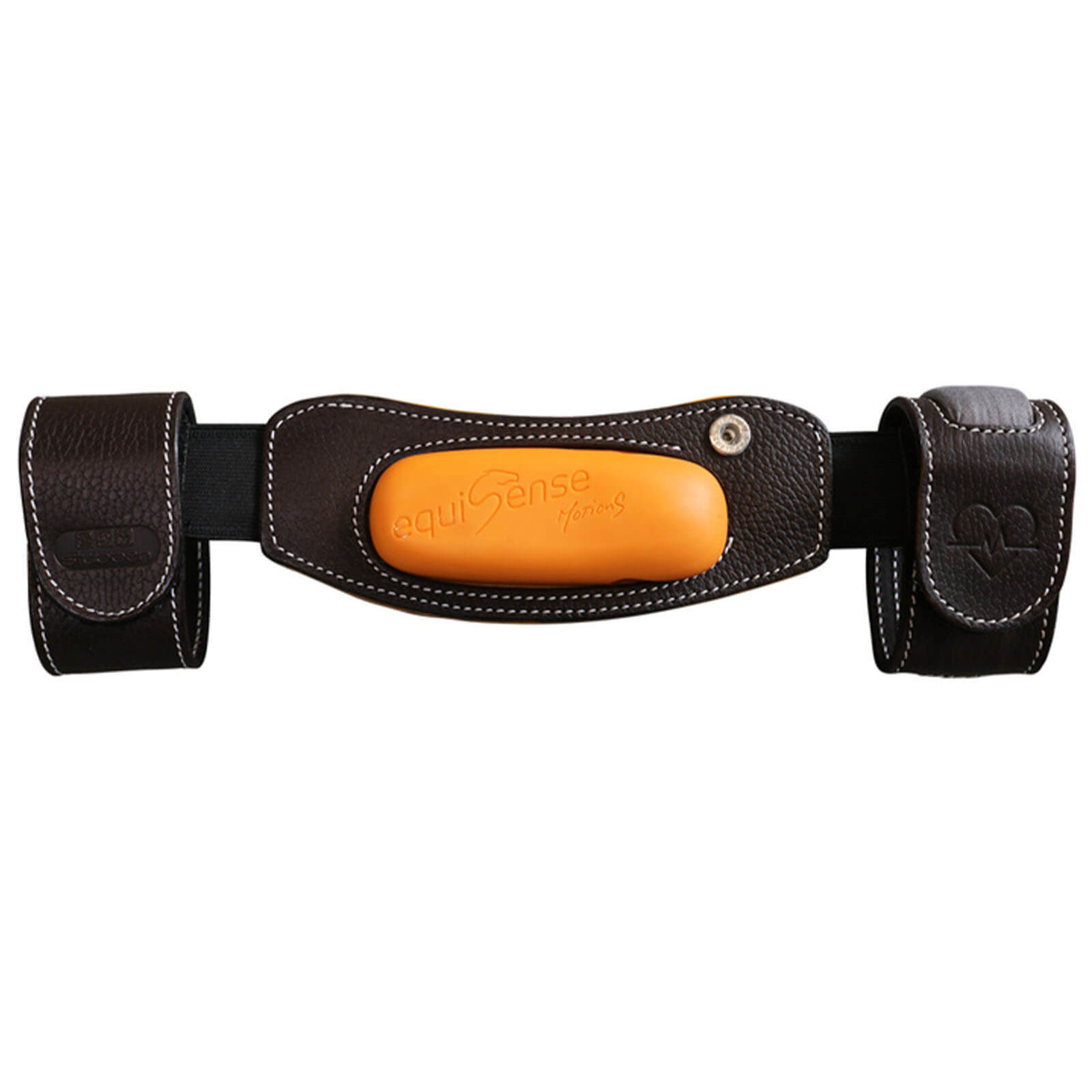 Halterung Equisense Motion S