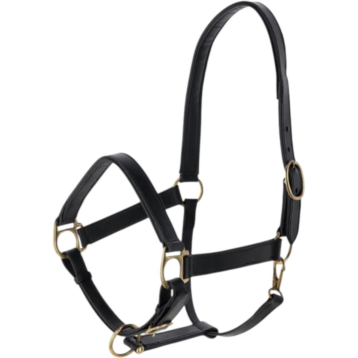 Liederhalfter Eco Halfter