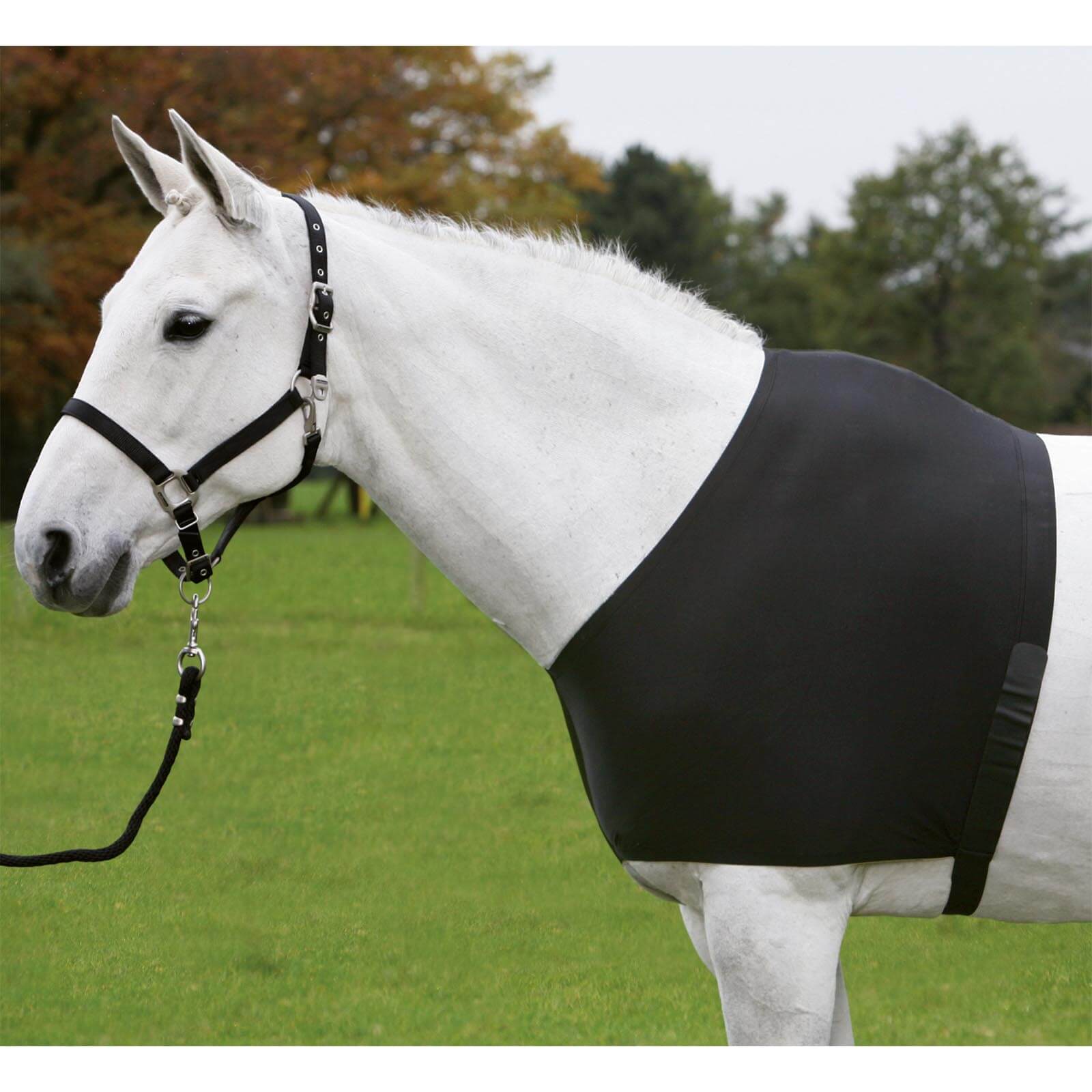 Brustschutz Comfort Vest