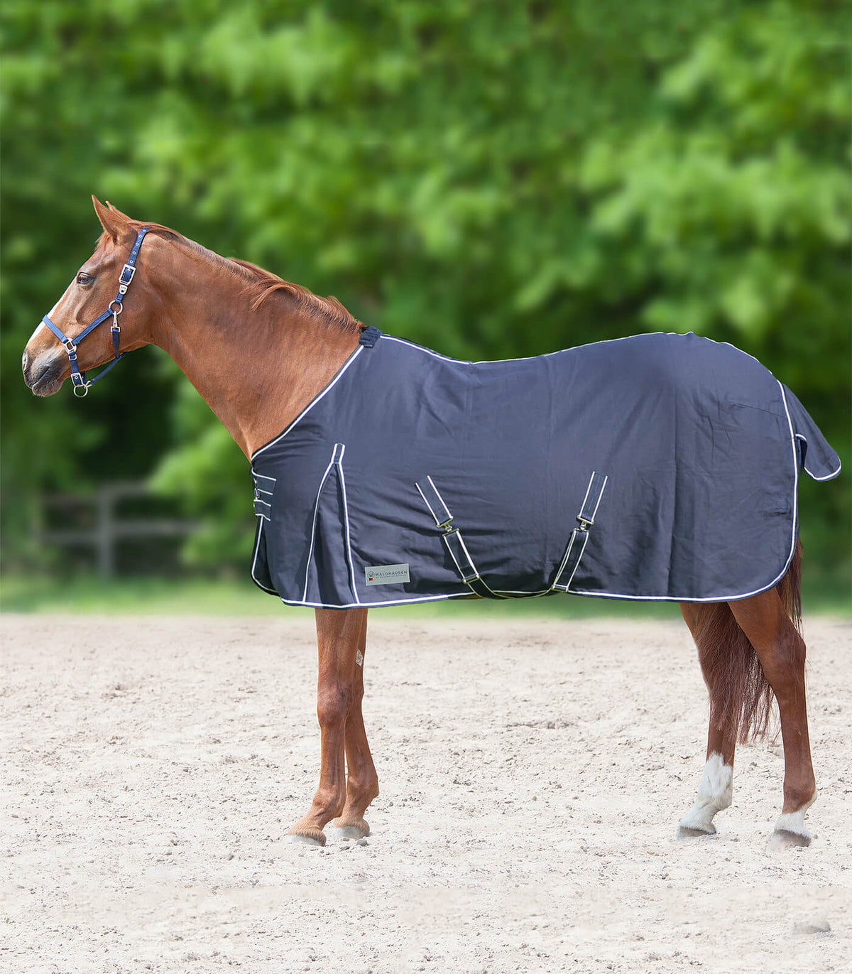 Stall- und Sommerdecke 0g Comfort