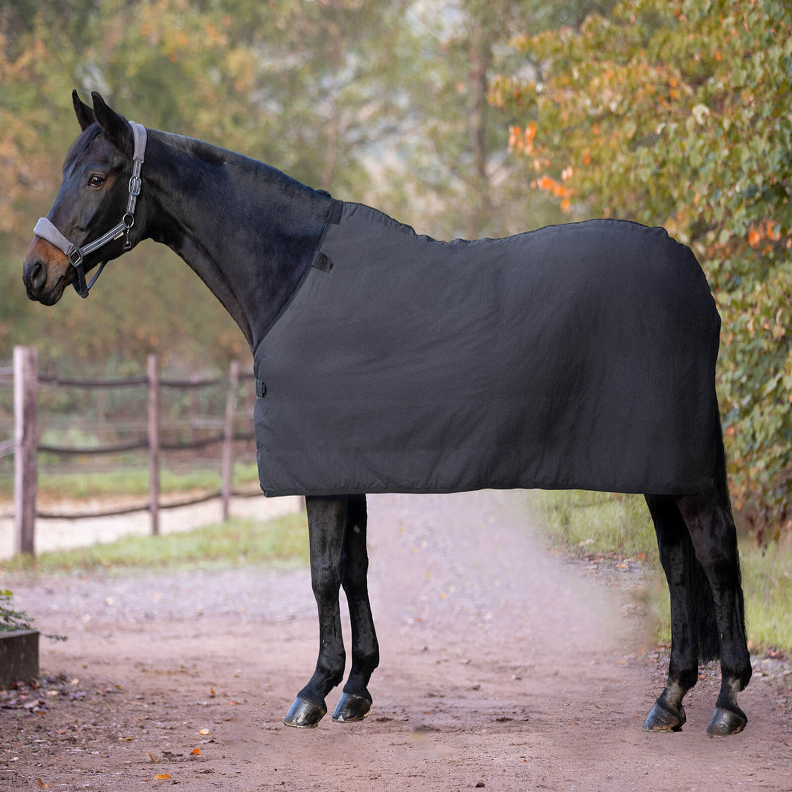 Unterdecke 0g Economic Fleece