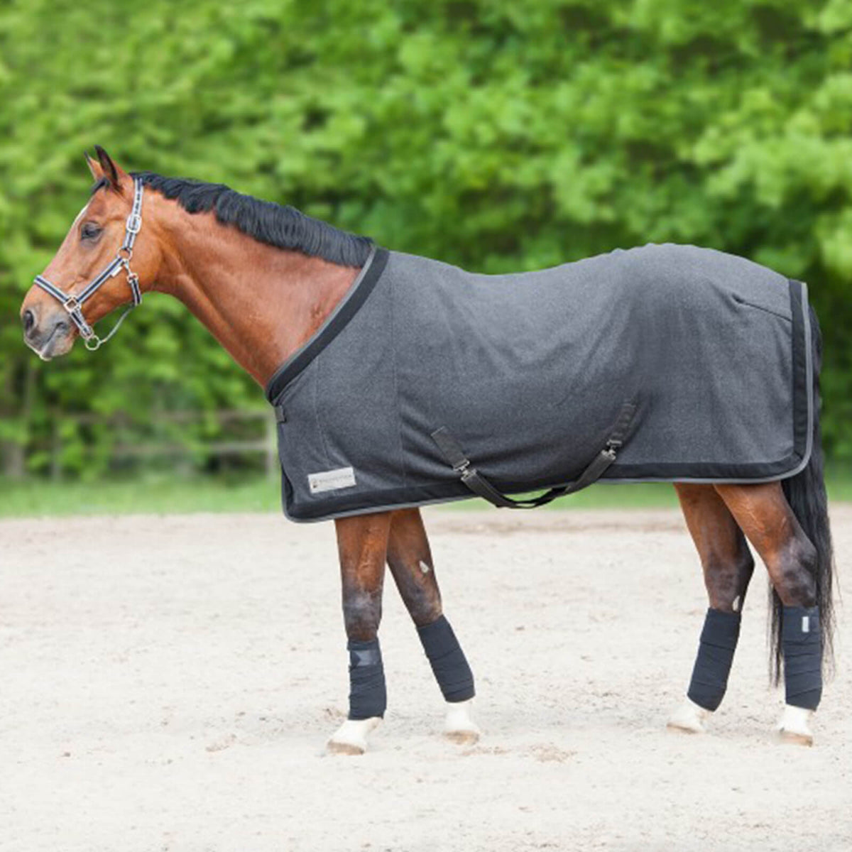 Abschwitzdecke Comfort Esperia Two Fleecedecke
