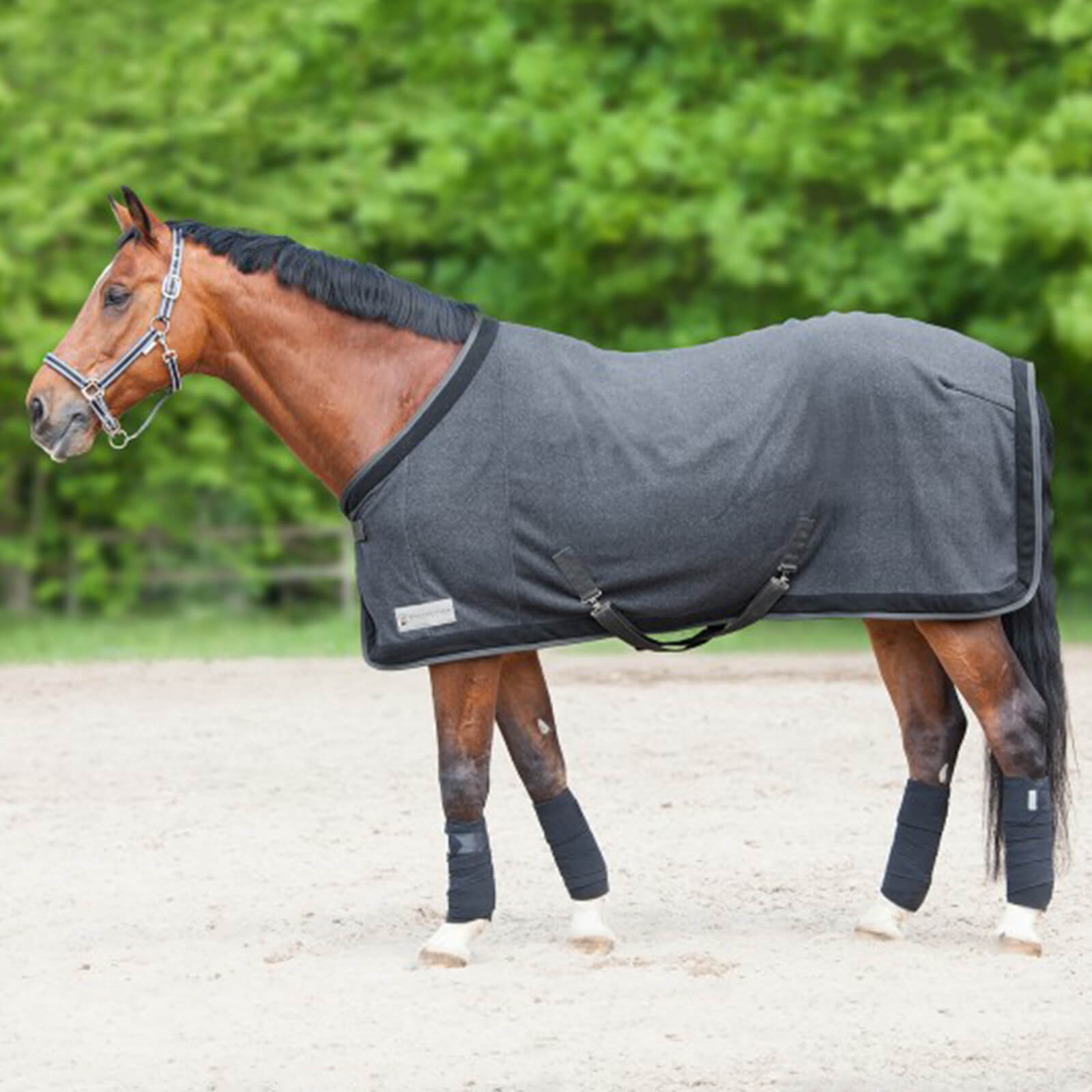 Abschwitzdecke Comfort Esperia Two Fleecedecke