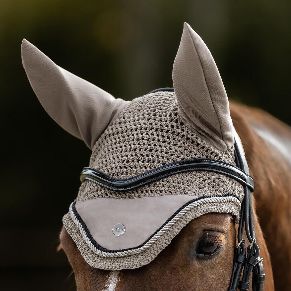 Fliegenohren Pegasus
