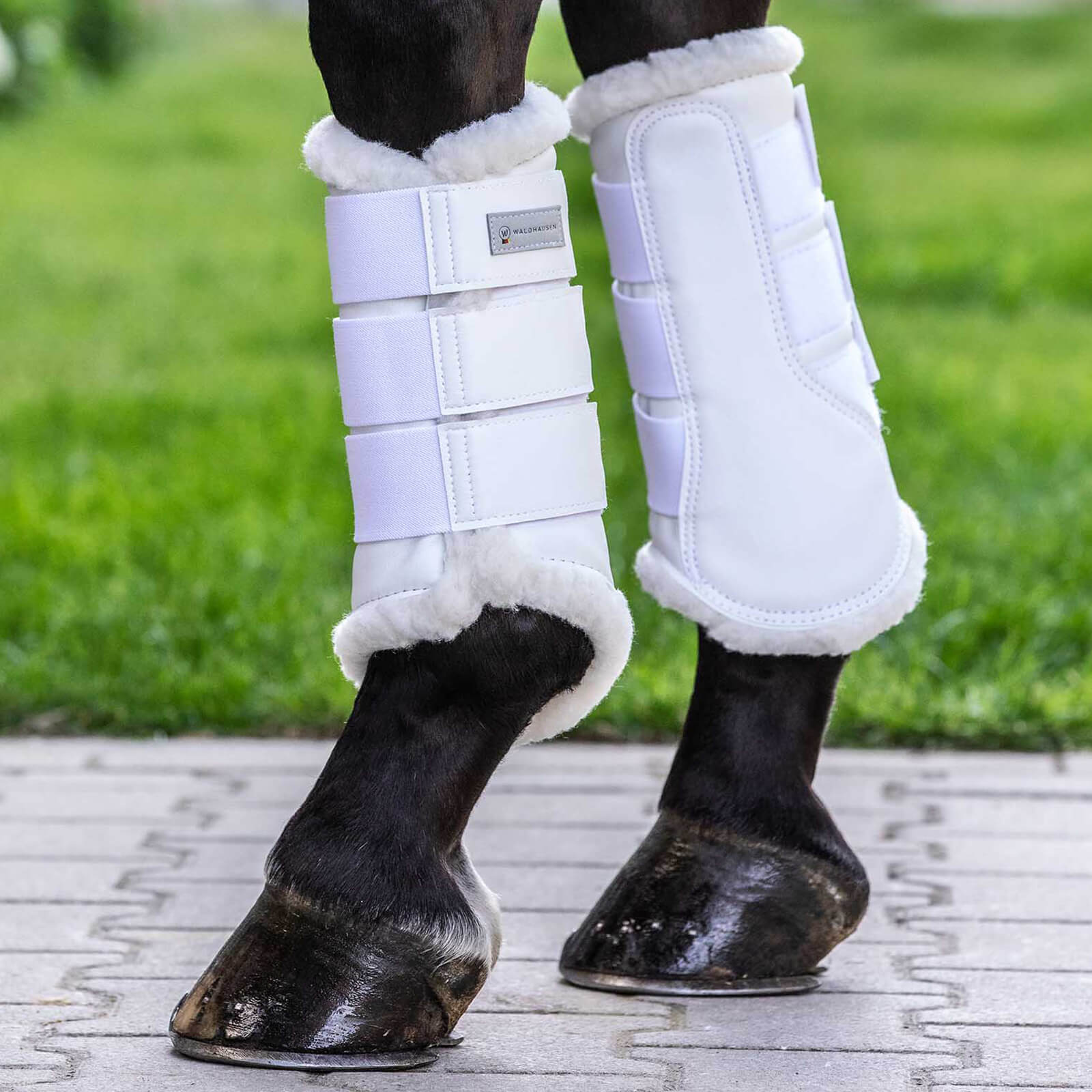 Gamasche Dressur Soft