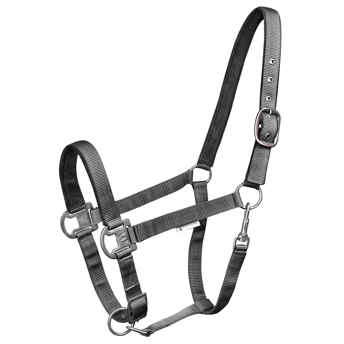 Halfter Gloomy