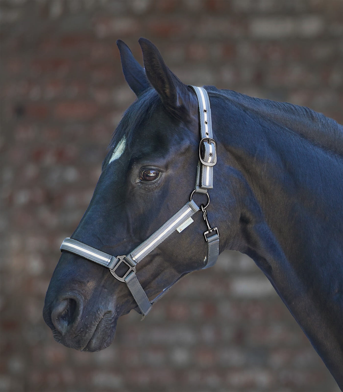 Halfter Reflex Stripe Stallhalfter