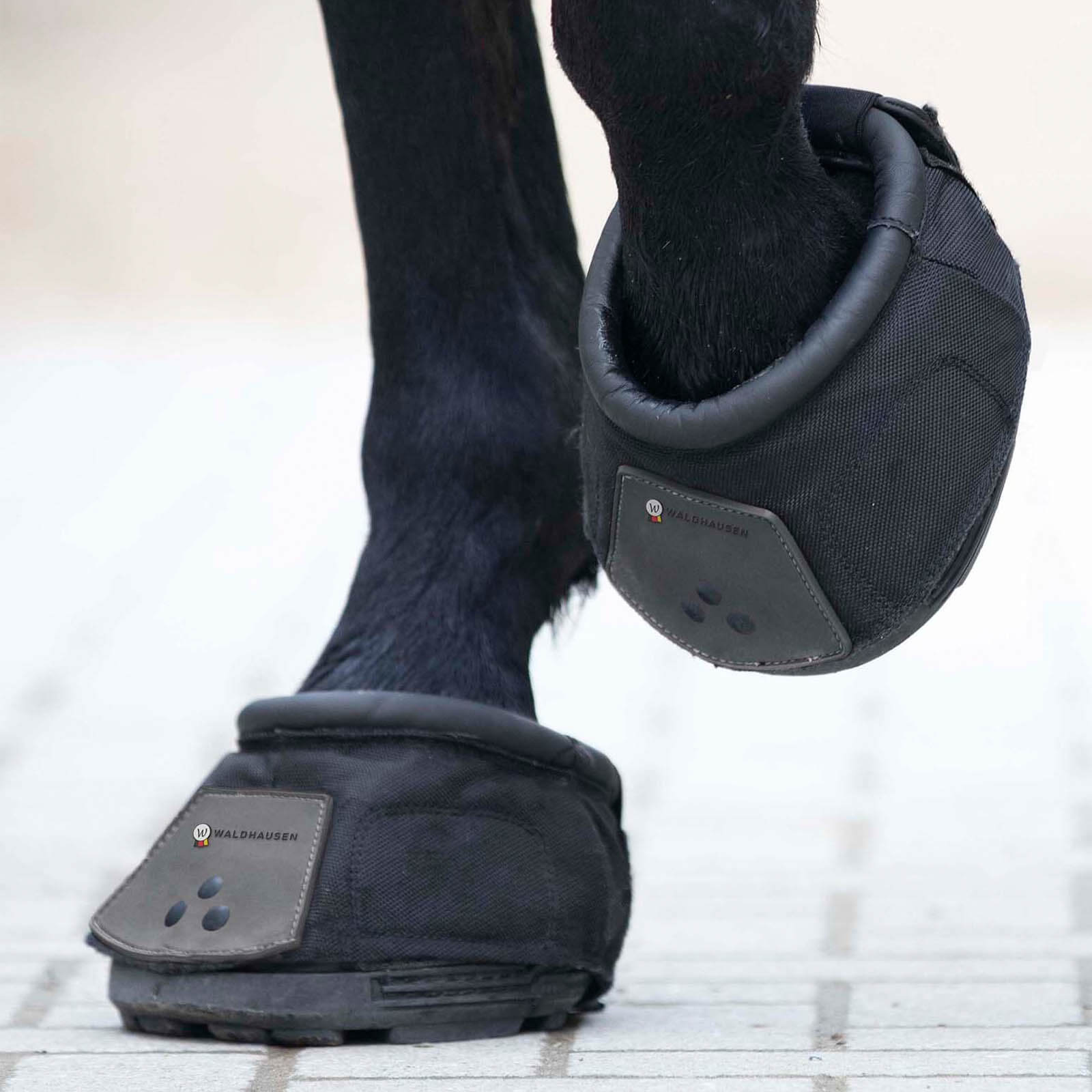 Hufschuh Einzeln