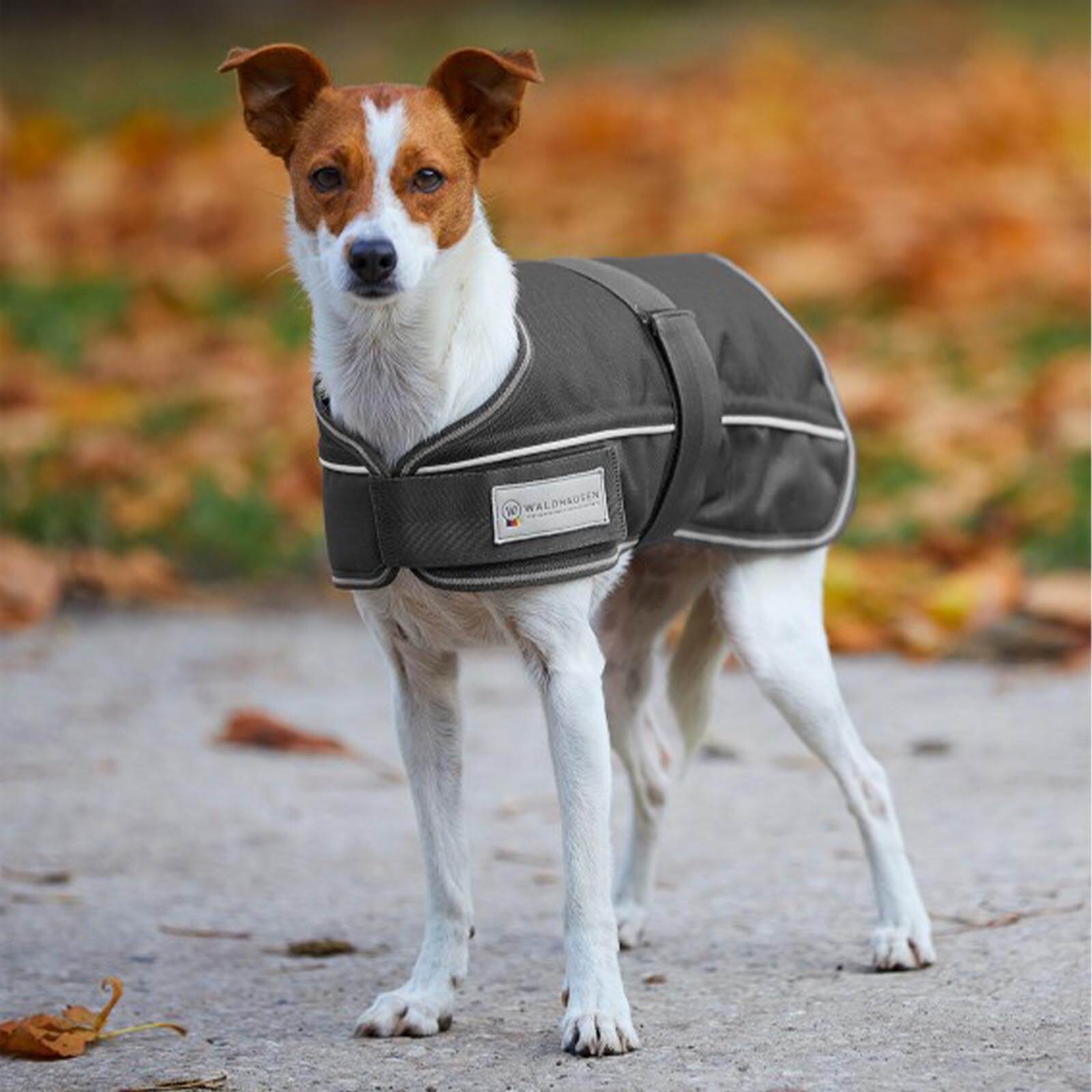 Hundedecke 200g Comfort Line