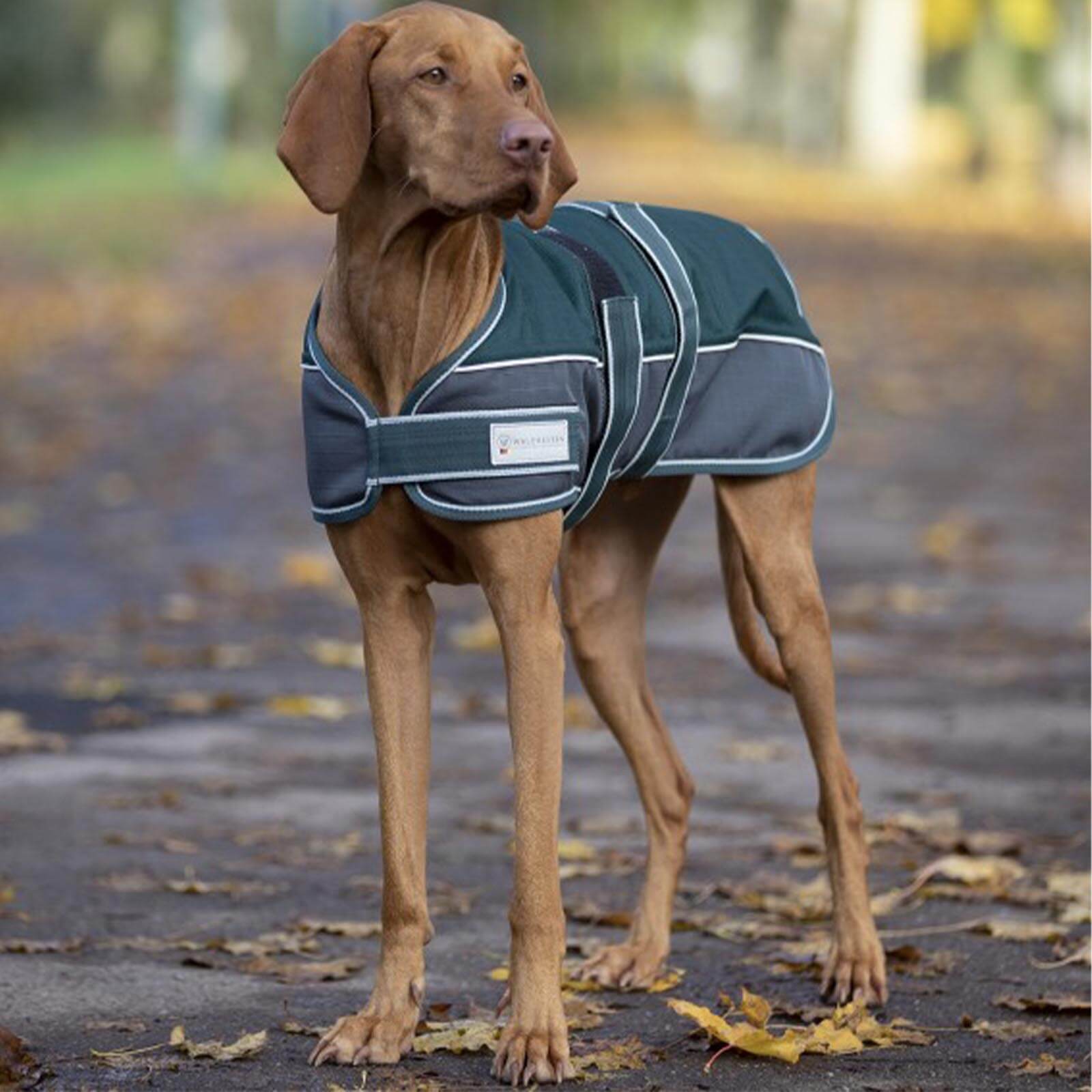 Hundedecke 200g Comfort Line