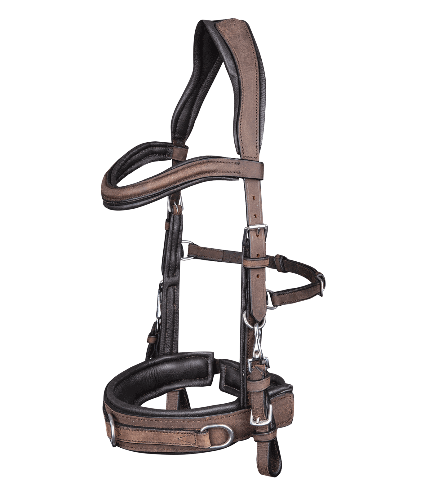 Lederkappzaum Anatomic