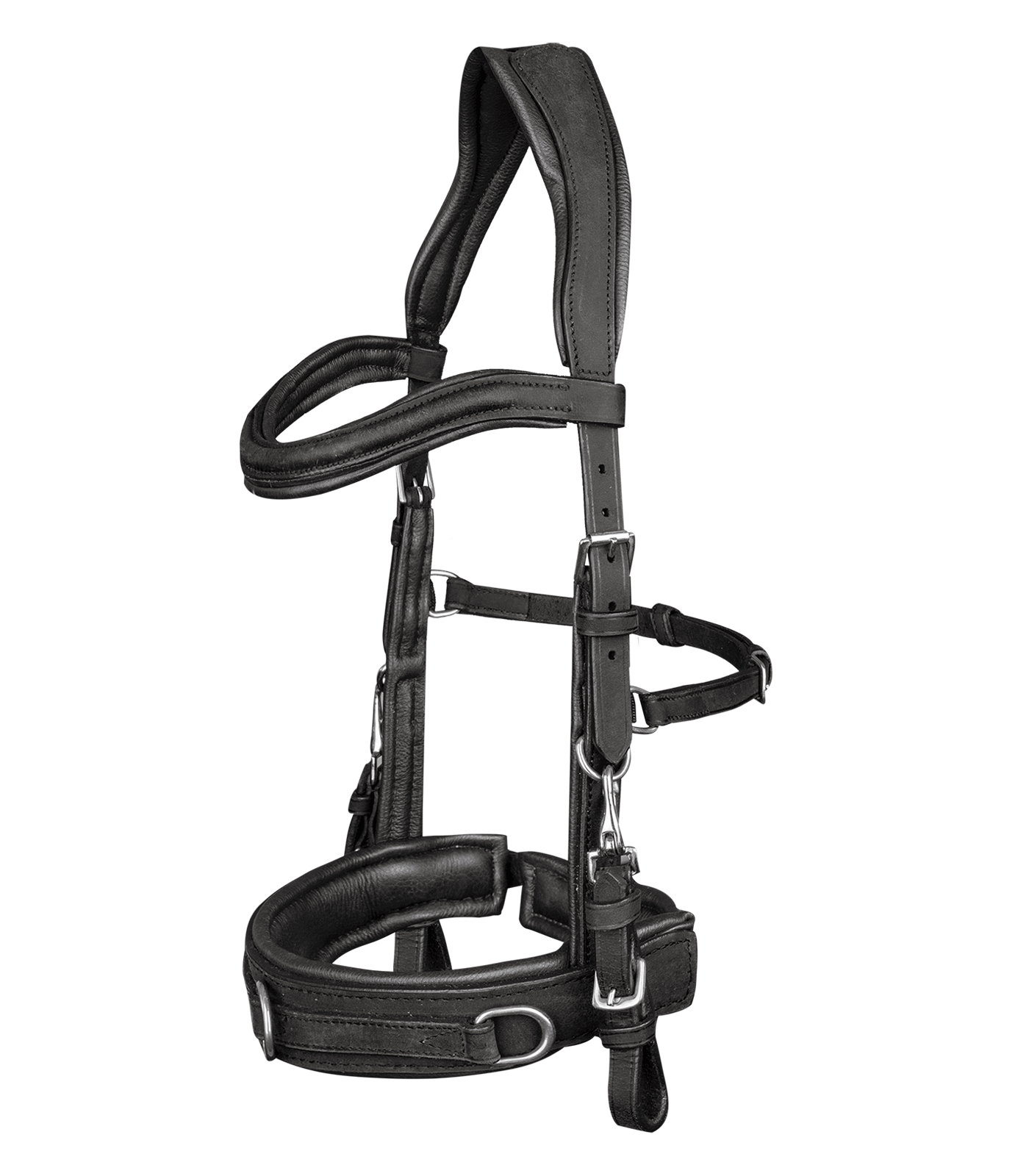 Lederkappzaum Anatomic