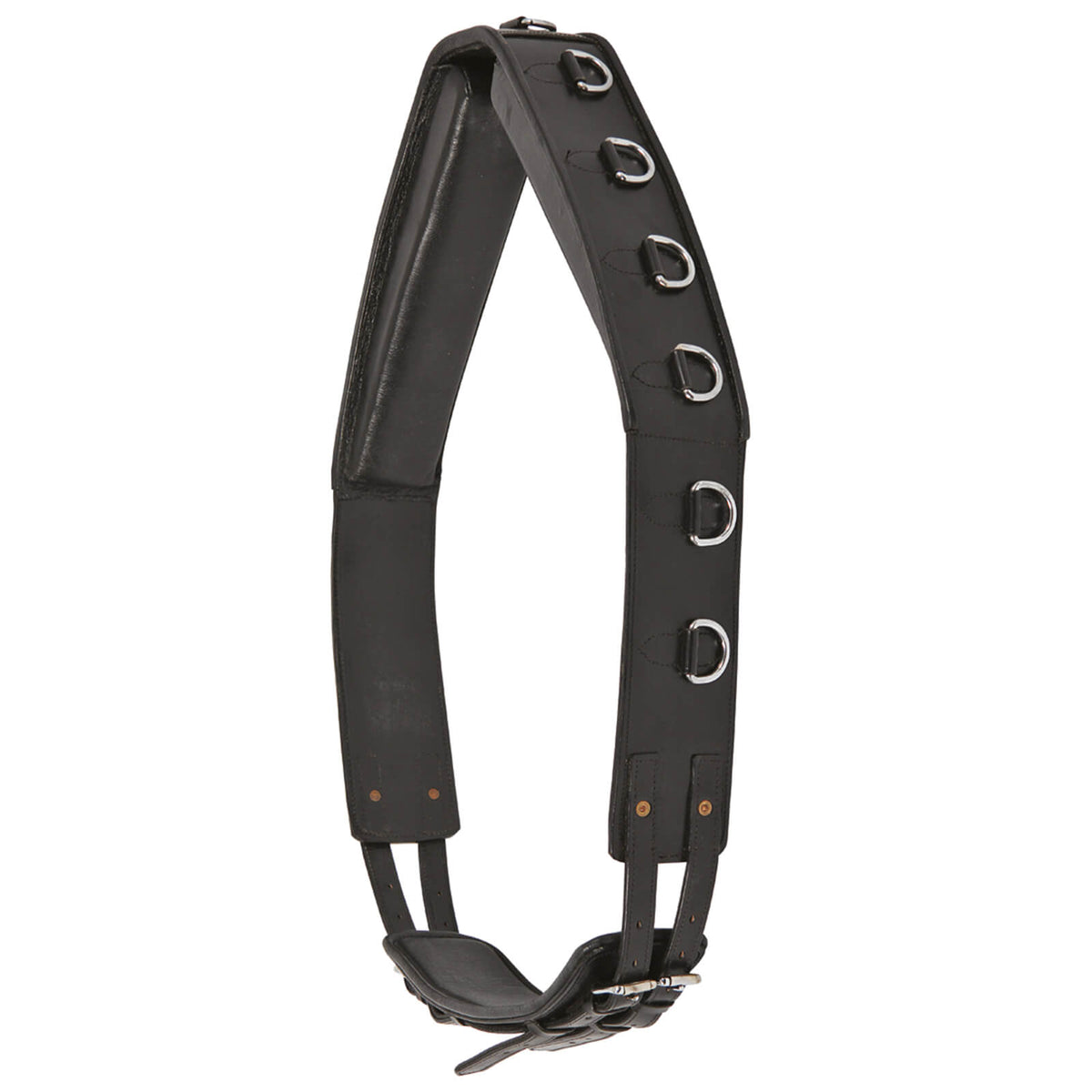 Longiergurt Leder