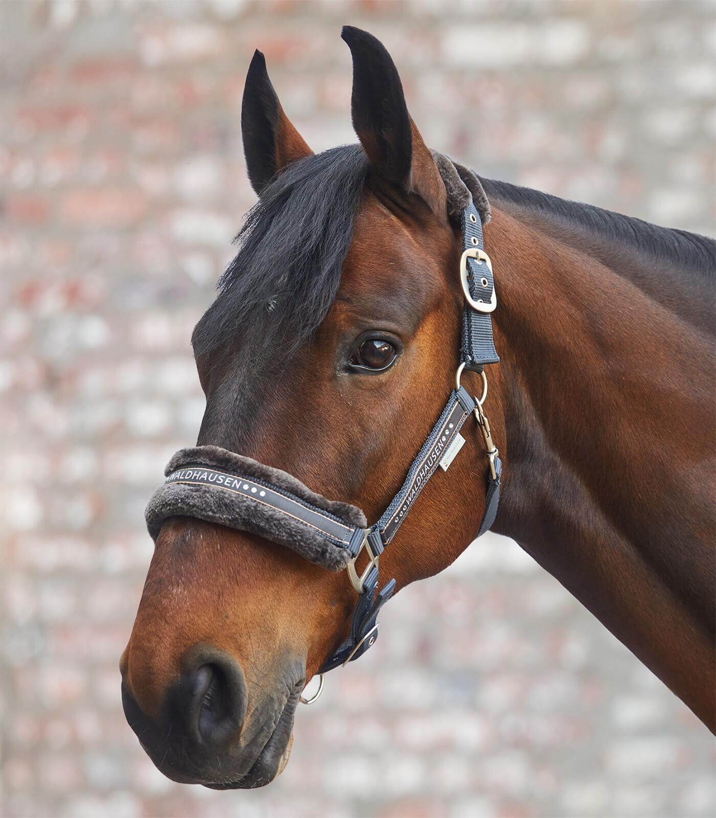 Halfter Elegant Kunstfell Pferdehalfter