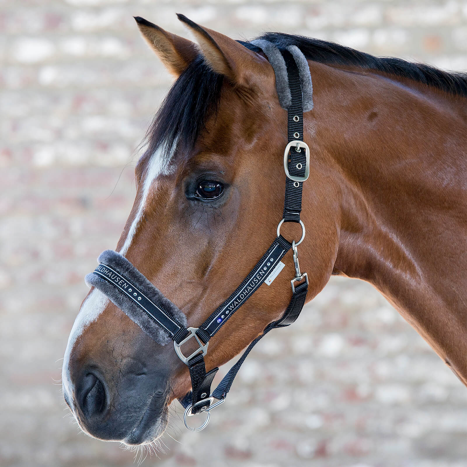 Halfter Elegant Kunstfell Pferdehalfter