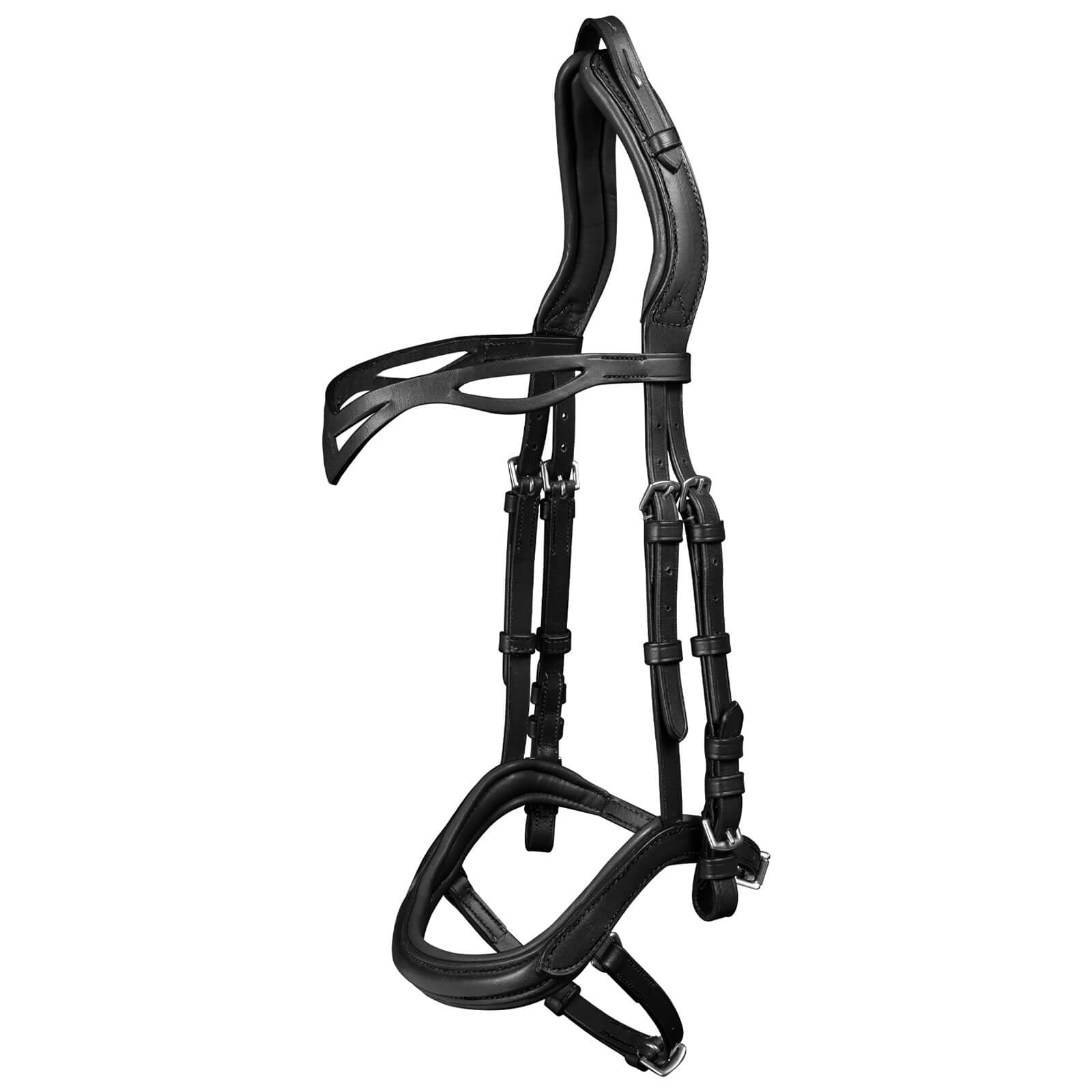 Trensenzaum Island Anatomic