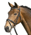 Schwarz/Weiß