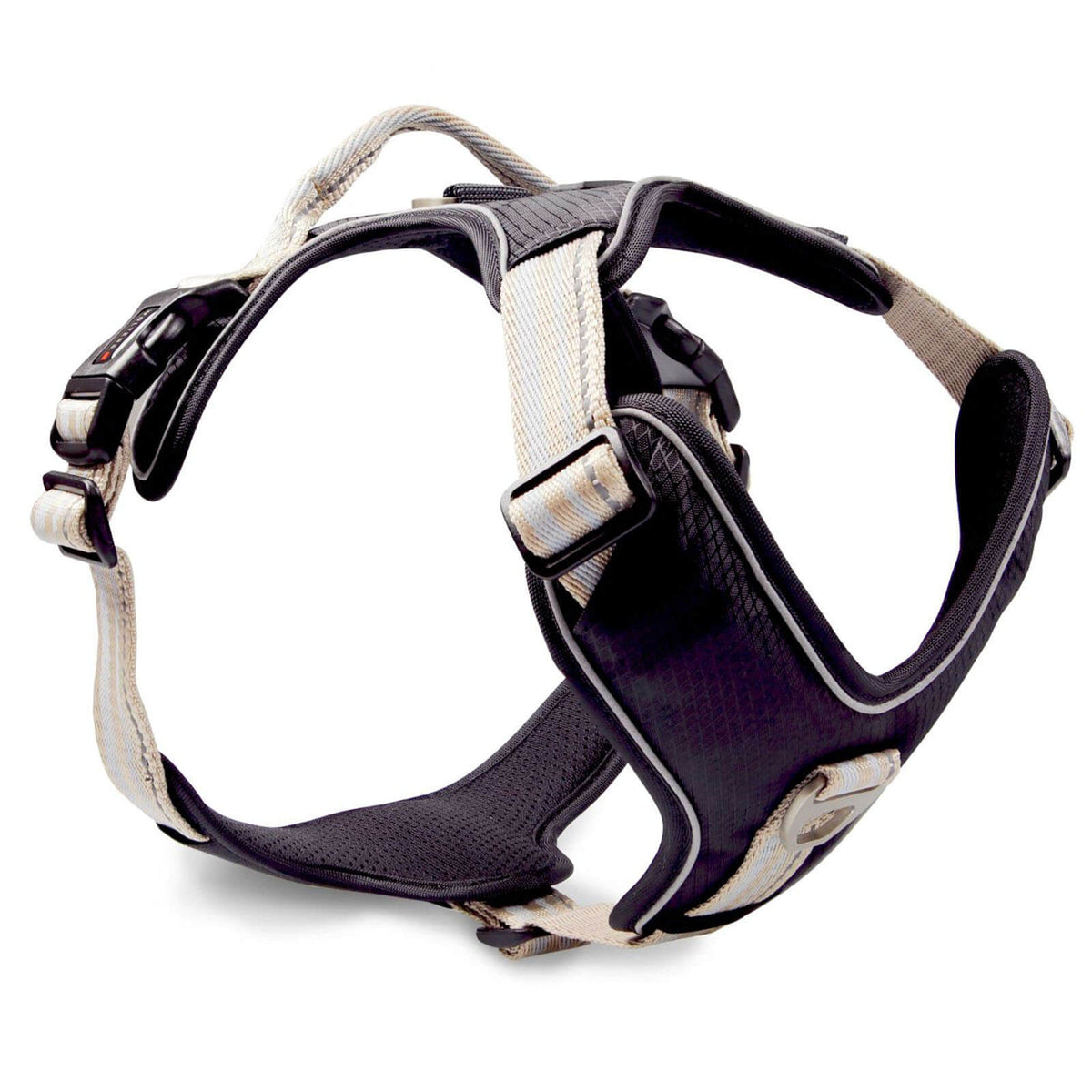 Champagner/Silber