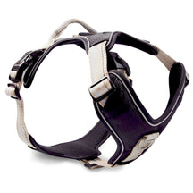 Champagner/Silber