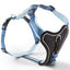 Riverside Blue/Sky Blue