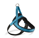 Aqua/Schwarz