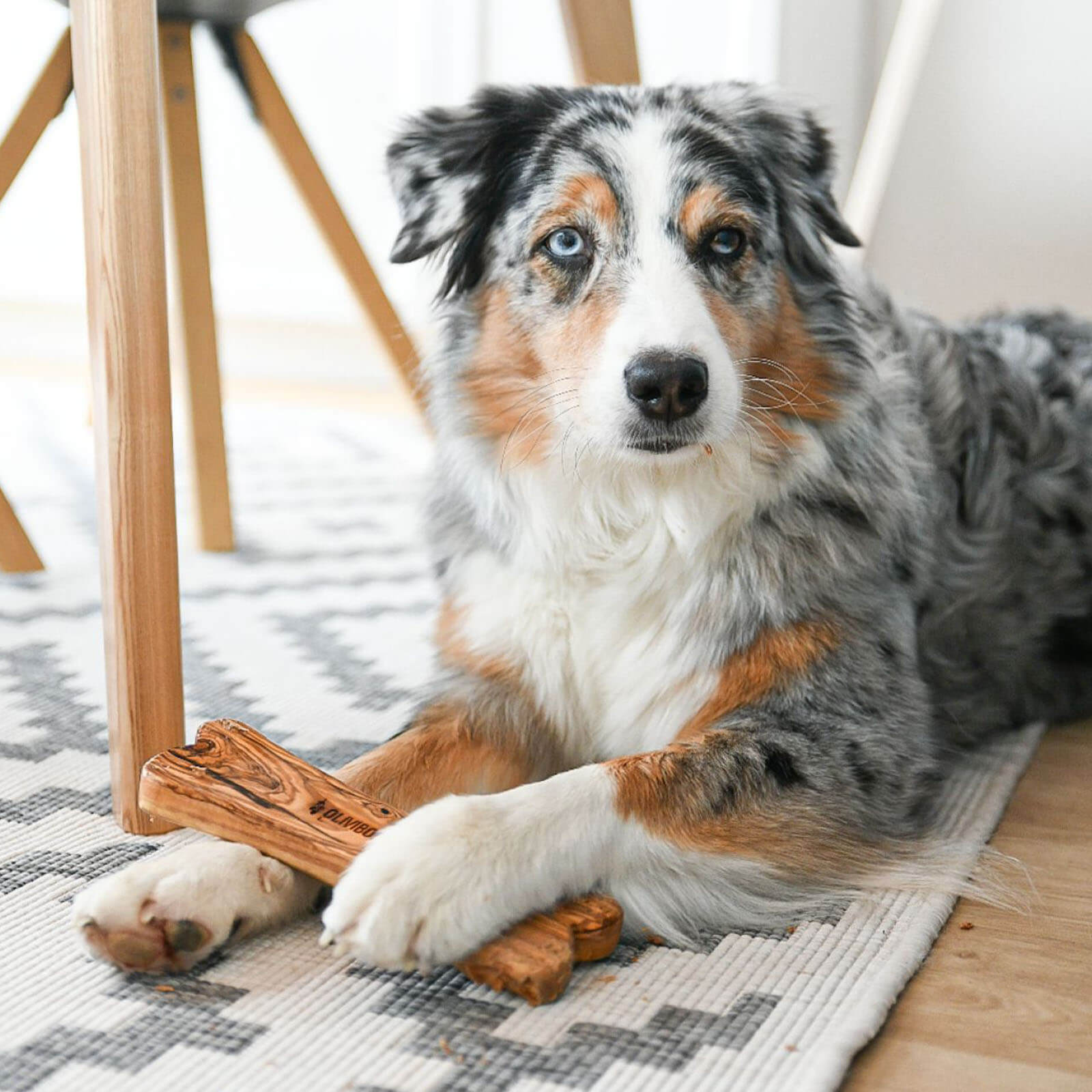 Hundespielzeug Olivi Knochen Kauspielzeug
