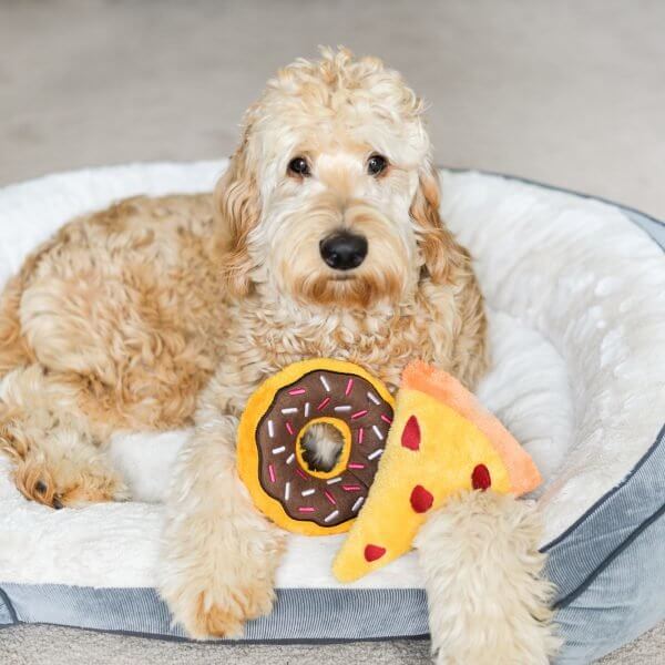 Hundespielzeug Donutz