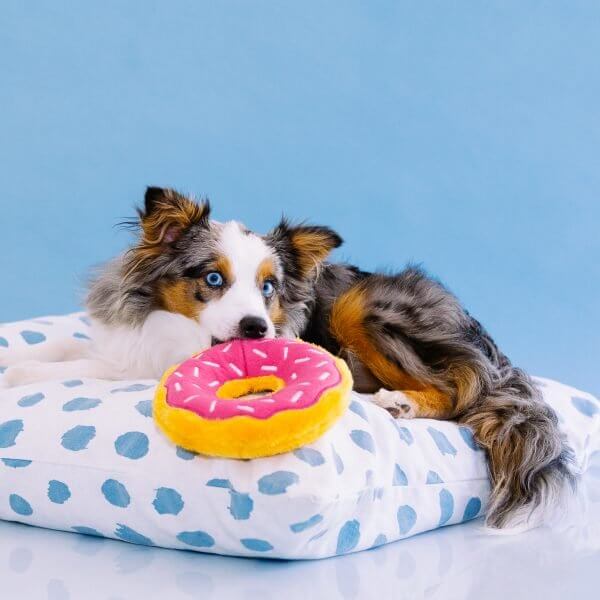 Hundespielzeug Donutz