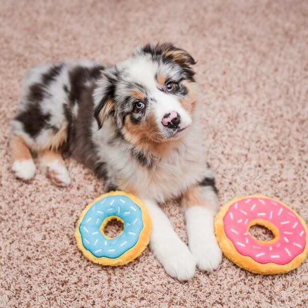 Hundespielzeug Mini Donutz